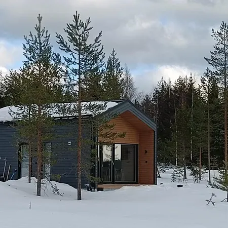 Luokki 2 Syöte