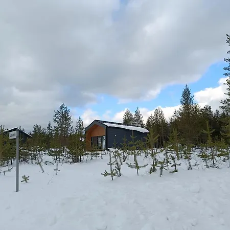 Luokki 2 Syöte